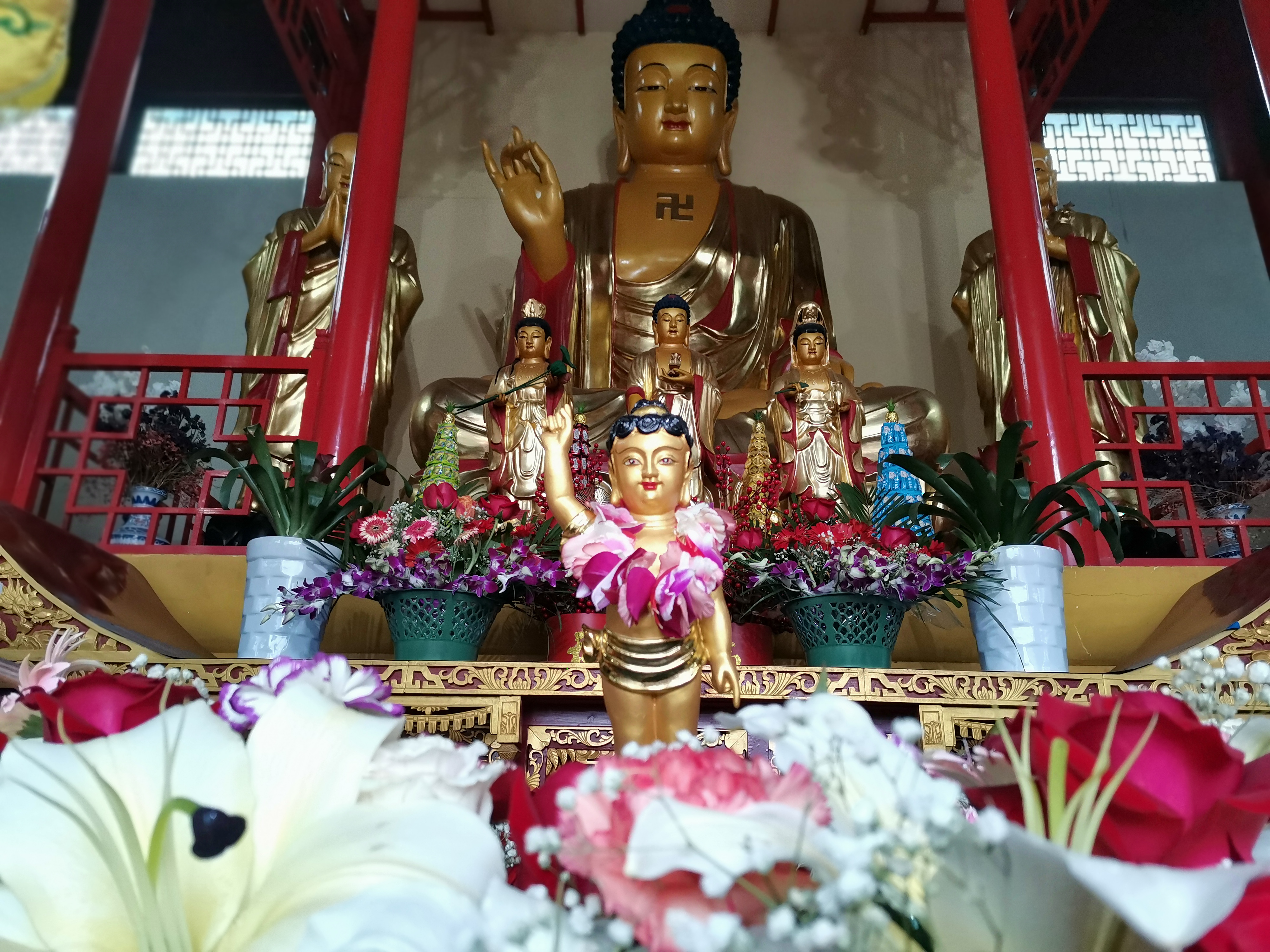乐发vll500释迦牟尼佛圣诞法会圆满