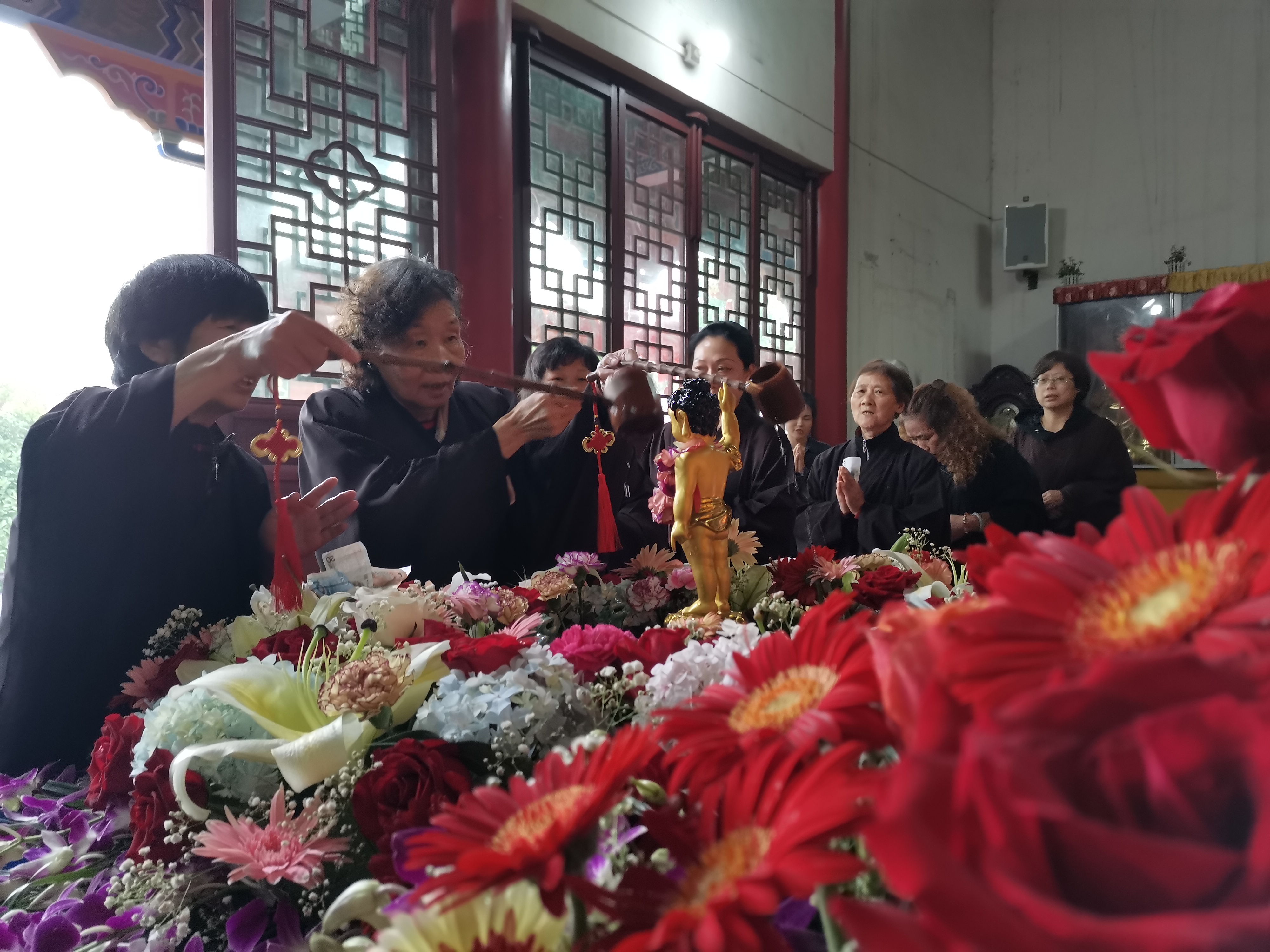 乐发vll500释迦牟尼佛圣诞法会圆满
